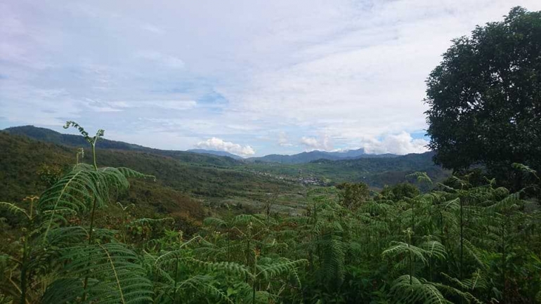 Pemandangan di awal perjalanan (Dokpri)