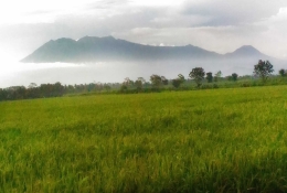 Deretan Gunung Butak, Kawi dan Panderman yang membentuk siluet putri tidur (dok. pribadi)