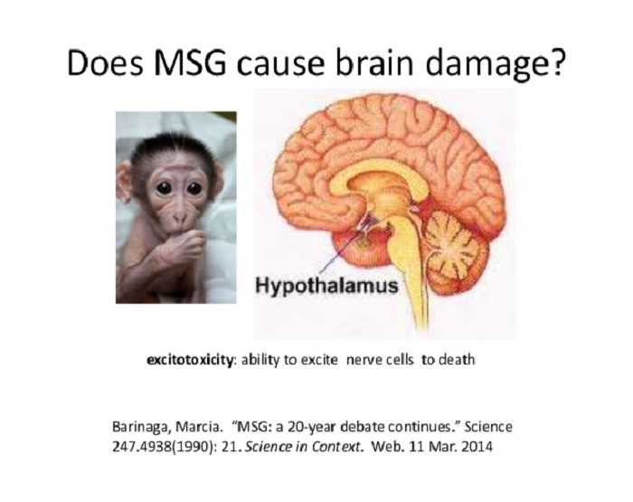 (Sumber gambar 1: https://image.slidesharecdn.com/hyunmsgpresentationmay232014-151219002855/95/hyun-msg-presentation-may-23-2014-7-638.jpg?cb=1450484962)