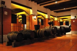 Wine Museum (http://travelhaathi.com)
