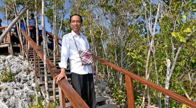 Presiden Jokowi diatas Puncak Piaynemo/sumber: beritacenter.com