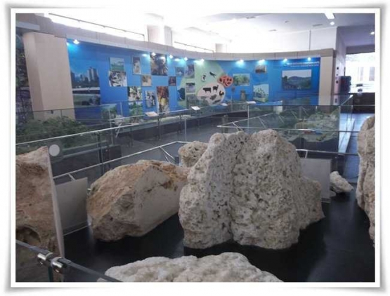 Koleksi lain di dalam museum (Dokpri)