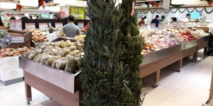 Bahan Pembuat Pohon Natal, Mulai dari Botol Bekas, Cabai
