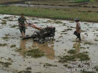 Peran Babinsa Membantu Pemerintah Dalam Ketahanan Pangan