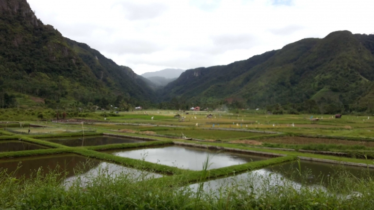 Salah satu view di Lembah Harau (dok.pribadi)