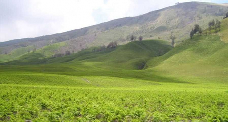 Bukit Tetetubbies di kaki Bromo saat udara cerah. Sumber : www.twisata.com