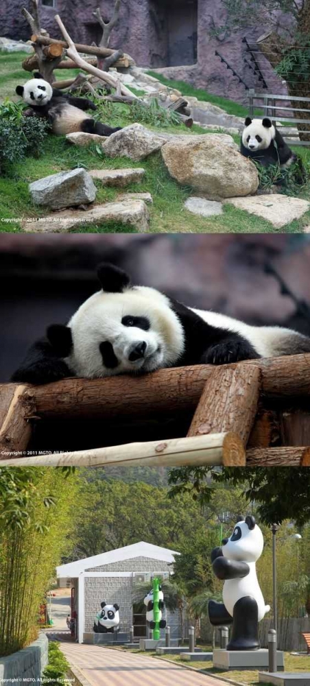 Sumber: https://travel2next.com/10-best-garden-attractions-in-macau/