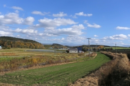 Pemandangan di daerah pedesaan Hokkaido (dokumentasi pribadi)