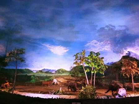 Diorama Besar Masa Keemasan Homo Erectus (Dokpri)