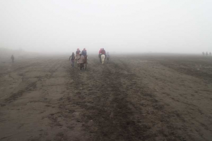 Badai pasir di Gunung Bromo jarak pandang pendek (dok asita)