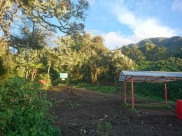 Shelter 1 dengan pemandangan puncak Kerinci di kejauhan (Dok Pri)