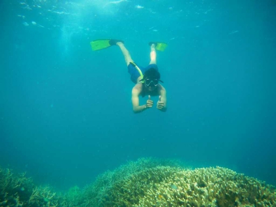 dive-5a5092aaf13344188d1f9076.jpg