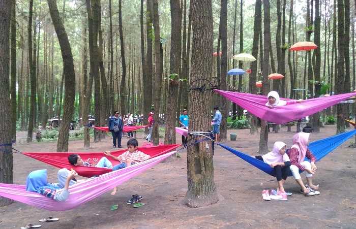 Hammock, fasilitas wajib bagi wisata hutan kekinian (dok.pribadi)