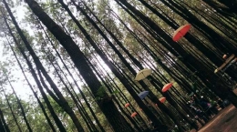Wisata Payung Hutan Pinus Semeru (dok.pribadi)
