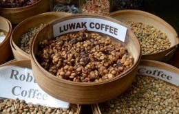 proses panjang untuk hasilkan biji kopi terbaik (homevsaway.com) 