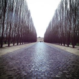 The Garden, Versailles / koleksi pribadi