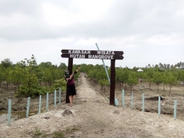 Dan kawasan wisata hutan mangrove | Dokpri