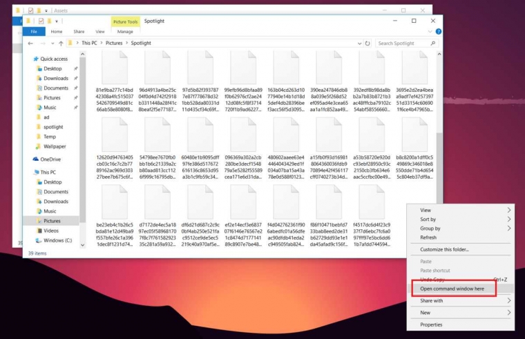 /www.windowscentral.com