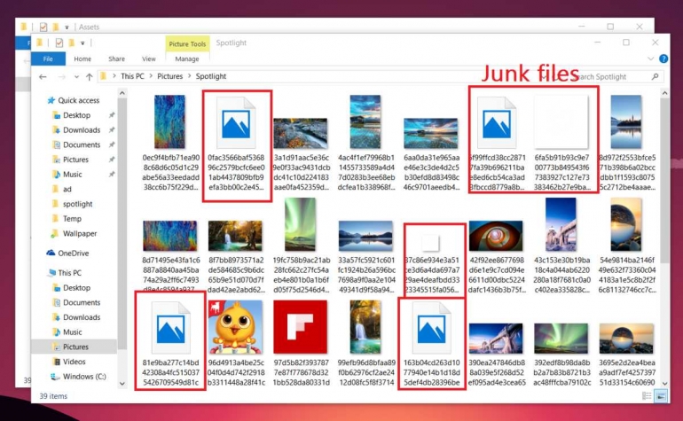 /www.windowscentral.com