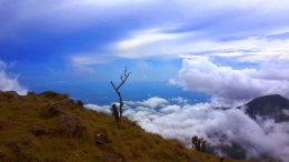 Keindahan puncak Gunung Bawakaraeng