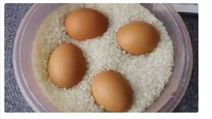Harga Beras dan Telur salah satu pangan yang telah terdampak inflasi di tahun 2018 (sumber gambar : tribunnews.com)