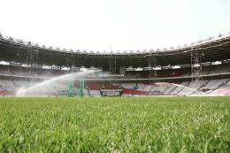 Rumput Zoysia Matrella di Stadion Utama Gelora Bung Karno (source: instagram @love_gbk)