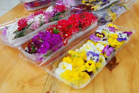 Aneka jenis bunga edible yang dapat dikonsumsi dan berharga mahal. (Foto: Imam Wiguna)