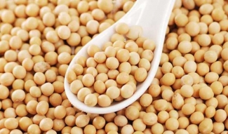 Contoh Produk Makanan Fungsional Nabati Dan Hewani Contoh Produk Makanan Fungsional Nabati Dan Hewani