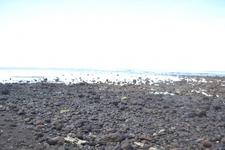 Terumbu Karang yang Bernasib Apes Halaman 1 - Kompasiana.com Terumbu Karang yang Bernasib Apes Halaman 1 - Kompasiana.com