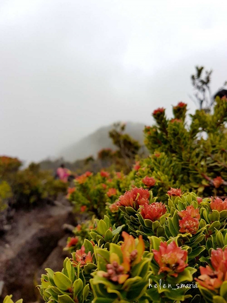 penghibur saat turun gunung