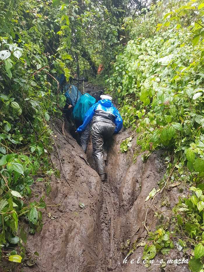 Sepanjang jalan kenangan