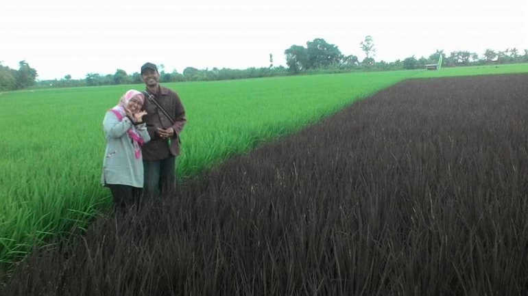 Foto berdua di sawah suami isteri (Gambar www.facebook.com/yayat.roffiyah)