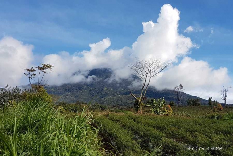 kaki Kerinci