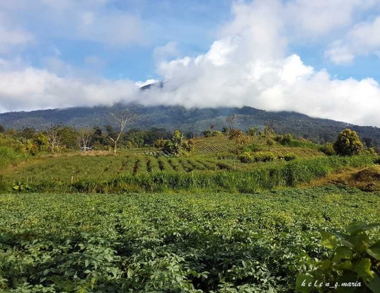 Kaki Kerinci