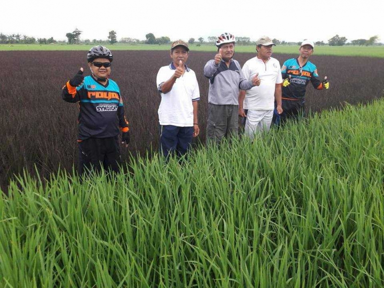 Setelah bersepeda mampir di sawah (Gambar www.facebok.com/soim.muhadir)