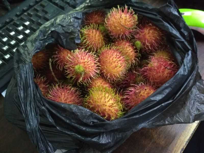buah rambutan