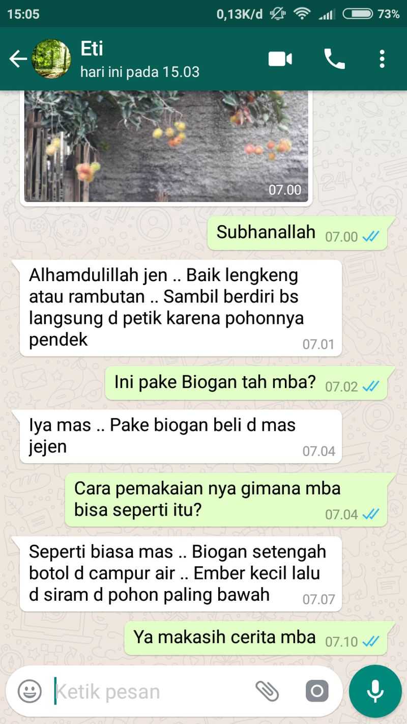 tips pohon cepat berbuah lebat