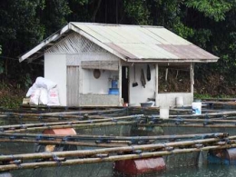 Salah Satu Keramba di Atas Danau (Dokpri)