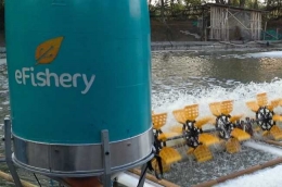 eFishery salah satu startup terkemuka yang lahir di Bandung