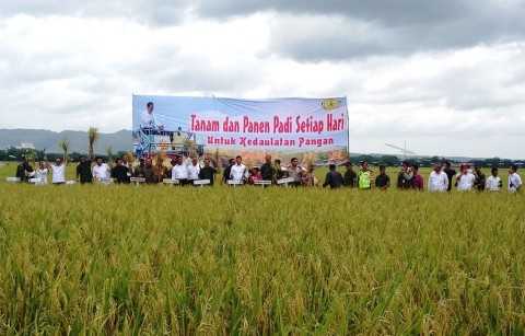 Menteri Pertanian Andi Amran Sulaiman menghadiri panen raya 2018 di Kabupaten Bojonegoro, Jawa Timur (Foto:Metrotvnews.com/Anggi Tondi Martaon)