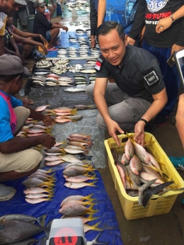 Agus Harimurti Yudhoyono (AHY) berkunjung ke pasar ikan Jembatan Puri, Sorong, Papua Barat