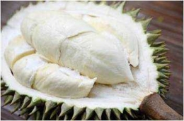 Durian si ketan bayong (Imam Wiguna)