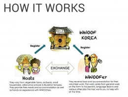 sederhananya, cara kerja wwoof seperti ini - screenshot web wwoofkorea.org
