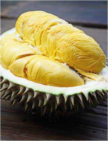 Durian si nangka (Imam Wiguna)