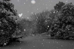 Suasana salju di taman dekat rumah (Dokumentasi Pribadi)