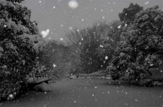 Suasana salju di taman dekat rumah (Dokumentasi Pribadi)