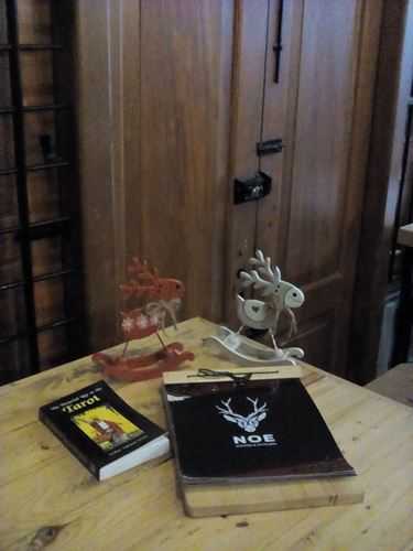 Buku, Rusa, pintu terutup dan Noe (Foto: Ko In)