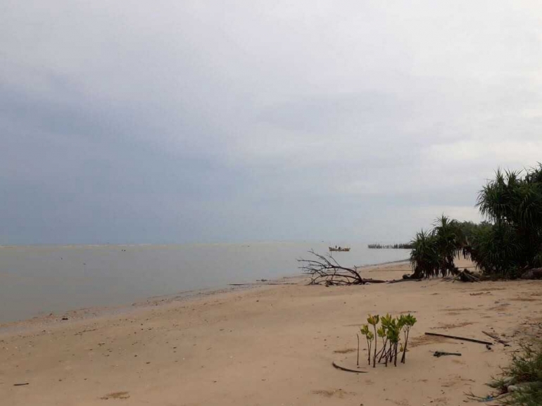 Pohon Pandan Laut masih ada di sana. Alami dan indah. (Dokpri).