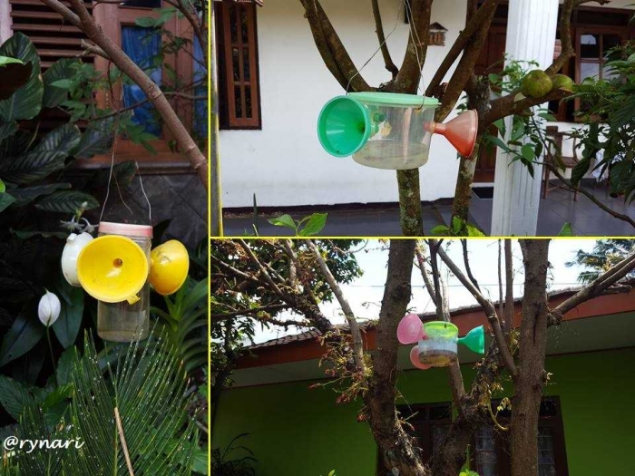 Perangkap hama model kampung iklim Togaten (Dokumentasi pribadi)