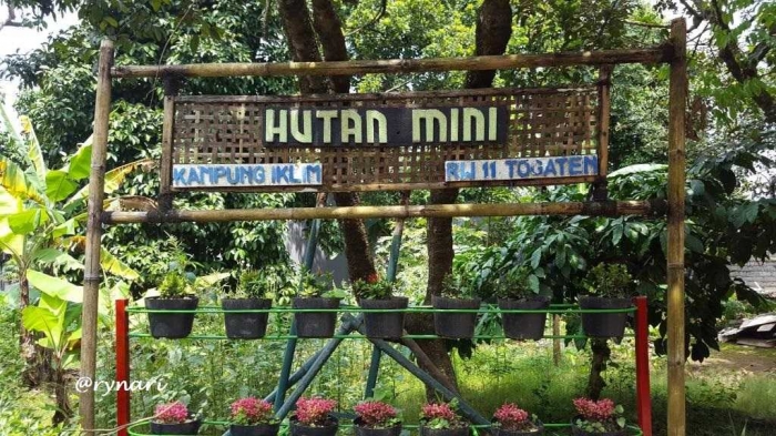 Hutan mini di kampung iklim Togaten (Dokumentasi pribadi)
